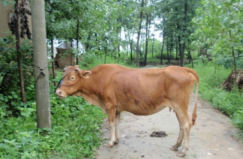 东阳最新求一个套医保卡的黄牛是真的吗方法分析(最方便真实的东阳求一个套医保卡的黄牛是真的吗还是假的方法)